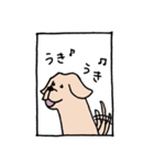 こち的ラブスタvol.1（個別スタンプ：12）