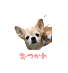 マブダチの日常。（個別スタンプ：4）