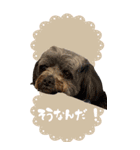 マブダチの日常。（個別スタンプ：6）
