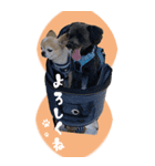 マブダチの日常。（個別スタンプ：7）