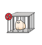ラッコのムッチ  決闘編（個別スタンプ：31）