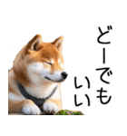 やる気がない☆柴犬（個別スタンプ：4）