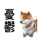 やる気がない☆柴犬（個別スタンプ：29）