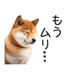 やる気がない☆柴犬（個別スタンプ：34）