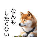 やる気がない☆柴犬（個別スタンプ：38）