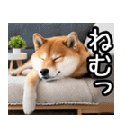 やる気がない☆柴犬（個別スタンプ：39）