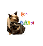 お酒とネコ好きな日常会話 石家番外編2（個別スタンプ：4）