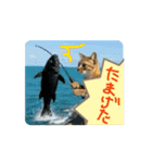 お酒とネコ好きな日常会話 石家番外編2（個別スタンプ：7）