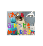 お酒とネコ好きな日常会話 石家番外編2（個別スタンプ：10）