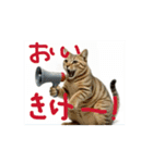 お酒とネコ好きな日常会話 石家番外編2（個別スタンプ：13）