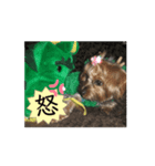 アイドル犬ロールのスタンプ②（個別スタンプ：3）