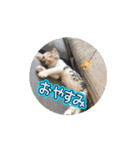 LEN RIN（個別スタンプ：3）