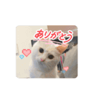 LEN RIN（個別スタンプ：5）