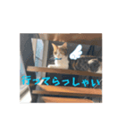 LEN RIN（個別スタンプ：8）