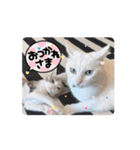 LEN RIN（個別スタンプ：11）
