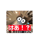 LEN RIN（個別スタンプ：14）