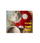 ハムスタースタンプ日常④（個別スタンプ：3）
