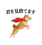 【面白い】返信に便利な柴犬＠日常会話（個別スタンプ：22）