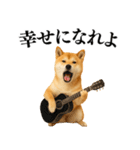 【面白い】返信に便利な柴犬＠日常会話（個別スタンプ：28）