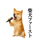 【面白い】返信に便利な柴犬＠日常会話（個別スタンプ：30）