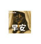 小花たちの世界挨拶（個別スタンプ：1）