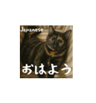 小花たちの世界挨拶（個別スタンプ：5）