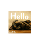 小花たちの世界挨拶（個別スタンプ：9）