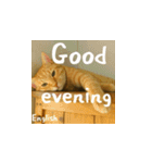 小花たちの世界挨拶（個別スタンプ：10）