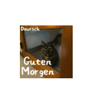 小花たちの世界挨拶（個別スタンプ：11）