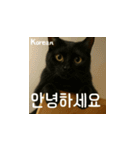 小花たちの世界挨拶（個別スタンプ：14）