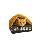 小花たちの世界挨拶（個別スタンプ：15）