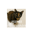 小花たちの世界挨拶（個別スタンプ：16）