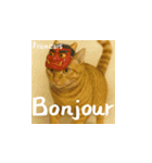 小花たちの世界挨拶（個別スタンプ：19）