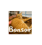 小花たちの世界挨拶（個別スタンプ：20）