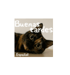 小花たちの世界挨拶（個別スタンプ：22）