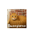 小花たちの世界挨拶（個別スタンプ：24）