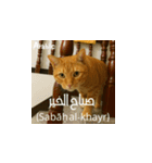 小花たちの世界挨拶（個別スタンプ：27）