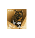 小花たちの世界挨拶（個別スタンプ：29）