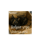 小花たちの世界挨拶（個別スタンプ：30）