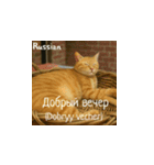 小花たちの世界挨拶（個別スタンプ：32）