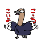 かぜすずのこっちこいよスタンプ（個別スタンプ：13）