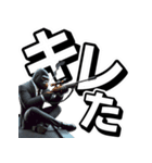 ゴリラ×スナイパー！2弾！デカ文字！（個別スタンプ：34）