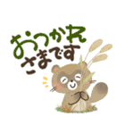 毎日つかえる♡にっこり狸の前向き幸せ言葉（個別スタンプ：16）