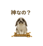 うさンプ:mochi（日常）（個別スタンプ：4）