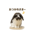 うさンプ:mochi（日常）（個別スタンプ：9）