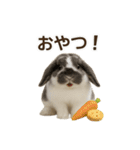 うさンプ:mochi（日常）（個別スタンプ：21）
