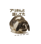 うさンプ:mochi（日常）（個別スタンプ：22）
