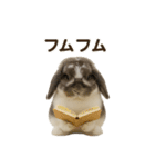 うさンプ:mochi（日常）（個別スタンプ：26）
