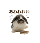 うさンプ:mochi（日常）（個別スタンプ：27）