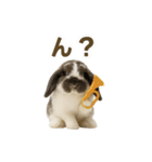 うさンプ:mochi（日常）（個別スタンプ：30）
